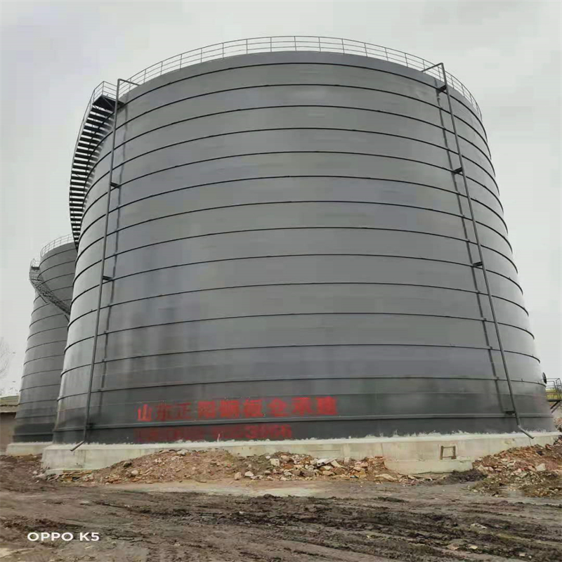 田东3万吨大型钢板库